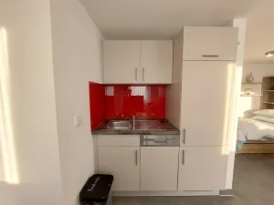 Einladendes Zuhause im Herzen des Schwarzwalds-1,5 Zimmer Wohnung mit Stellplatz